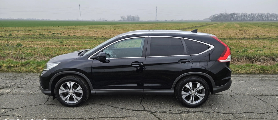 Honda CR-V cena 51999 przebieg: 299000, rok produkcji 2013 z Oława małe 67